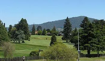 Greenview Motel Rotorua